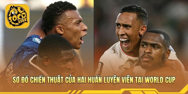 Sơ đồ chiến thuật của hai huấn luyện viên tại World Cup